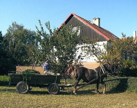 Platanus Bed and Breakfast Beckov Buitenkant foto