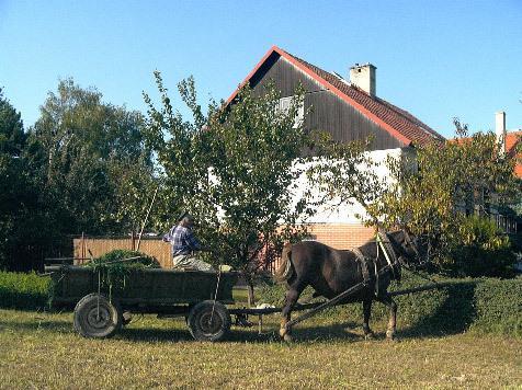 Platanus Bed and Breakfast Beckov Buitenkant foto